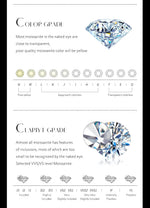 Certified Hoop Earrings — VVS Moissanite